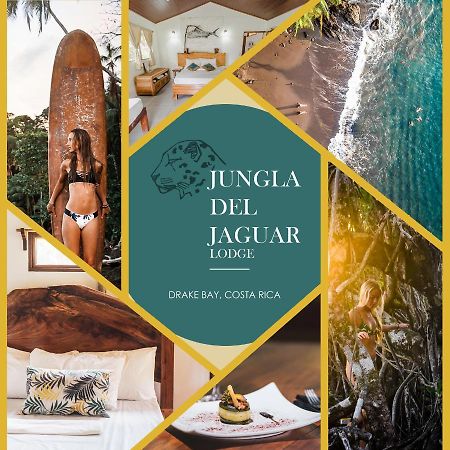 The Jaguars Jungle Rainforest Lodge - All Meals Included (Adults Only) San Pedrillo Exterior photo