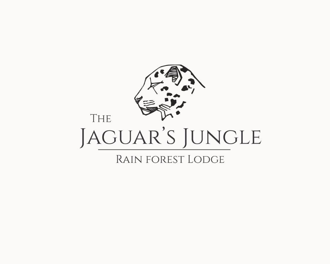 The Jaguars Jungle Rainforest Lodge - All Meals Included (Adults Only) San Pedrillo Exterior photo